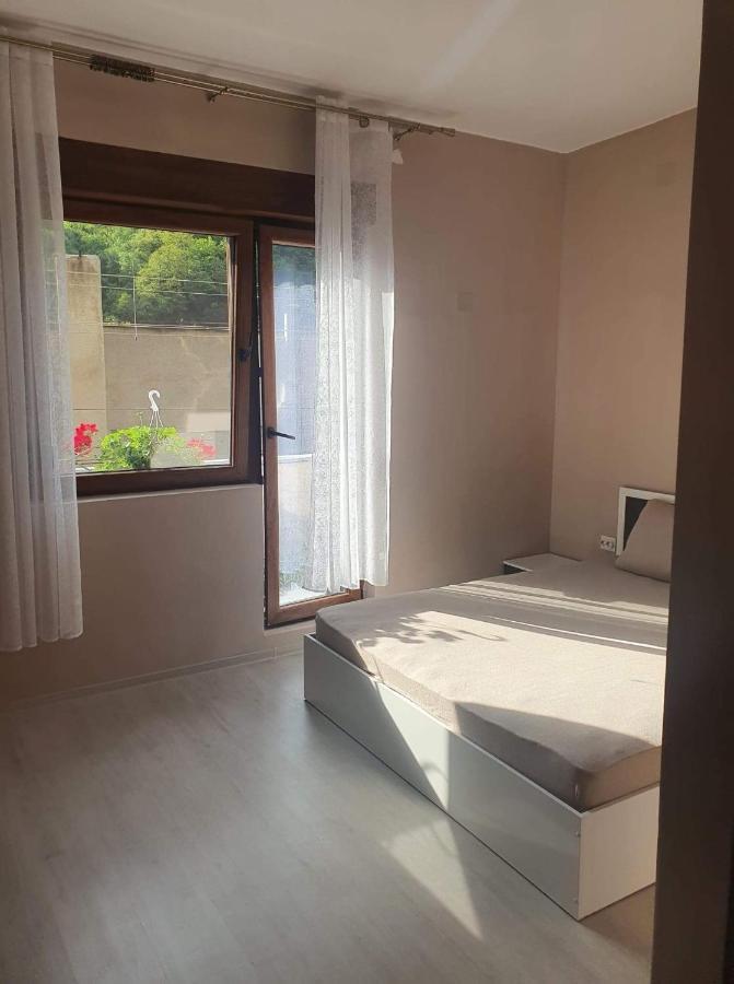 Casa Simionov Lägenhet Băile Herculane Exteriör bild